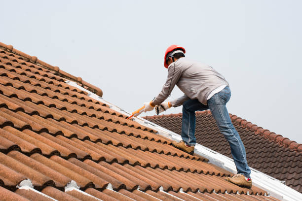 Best Rubber Roofing (EPDM, TPO)  in Puxico, MO